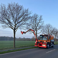 D&uuml;cker: Kampf gegen den Eichenprozessionsspinner 