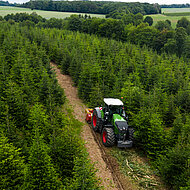 SEPPI M.: Mulchen und Fr&auml;sen einer Weihnachtsbaumplantage mit 1.000 PS 