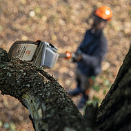 Pr&auml;zise Schnitte in luftiger H&ouml;he