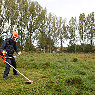 Rasenpflege: F&uuml;r jeden Einsatzzweck das richtige Ger&auml;t