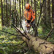 Motorgerätehersteller präsentiert Produktneuheiten auf der FORST live