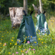 TreeShower &ndash; clevere L&ouml;sung f&uuml;r effiziente Bew&auml;sserung