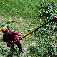 Hochentaster ECHO PPT-300ES