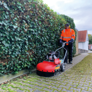 WKB 660 Honda: chemiefreie Unkrautbeseitigung mit der Wildkrautb&uuml;rste