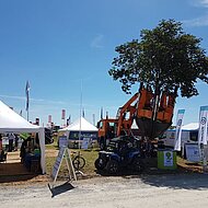 Opitz Grossbaumverpflanzung: von der Demopark auf den Spielplatz