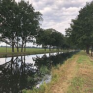 27. Deutsche Baumpflegetage: BWK ist Fachpartner