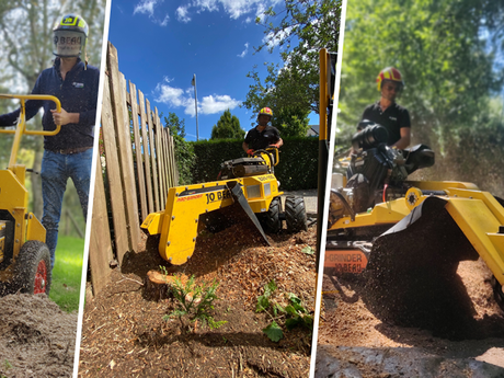 Stubbenfr&auml;sen: Pr&auml;zision und Effizienz f&uuml;r die Baumstumpf-Entfernung