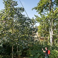 Die neue Spr&uuml;hlanze XL 8 von Birchmeier 