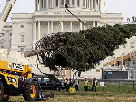 Teleskoplader von JCB unterst&uuml;tzt das Kapitol