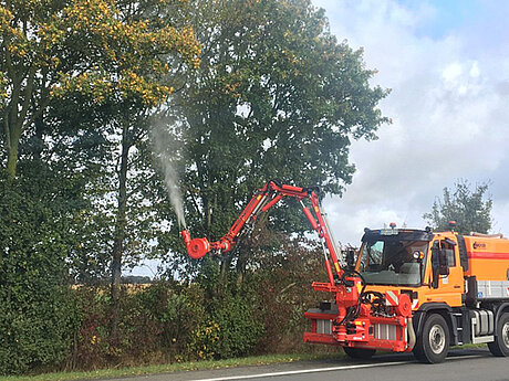 e-nema & D&uuml;cker: gemeinsame biologische Bek&auml;mpfung des Eichenprozessionsspinners 