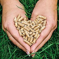 INTERFORST: Rohstoff Holz – ein Hebel für den Klimaschutz 