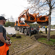 Landesgartenschau Wangen 2024: die Vorbereitungen laufen