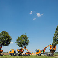 Drei S&auml;ulen der Gro&szlig;baum-Verpflanzung