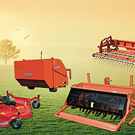 Rasenpflege bei geringem Budget