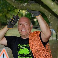 Baum-Management: Der &bdquo;Wartungsvertrag&ldquo; f&uuml;r Baumbest&auml;nde