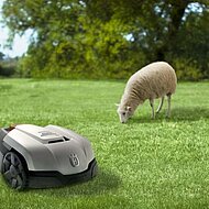 Die M&auml;&auml;&auml;&auml;&auml;&auml;h-Evolution: Nie mehr selber Rasen m&auml;hen 