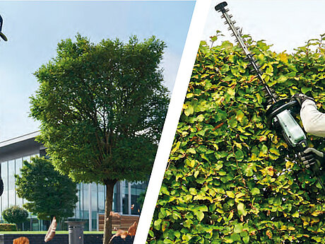 Whitepaper: Lithium-Ionen-Akkus im Vergleich zu benzinbetriebenen Gartenger&auml;ten