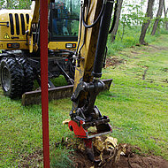 Freier Blick auf die Rodungsstelle