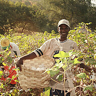 &bdquo;Nachhaltigkeit First&ldquo; &ndash; Arbeits- und Berufsbekleidung von BP