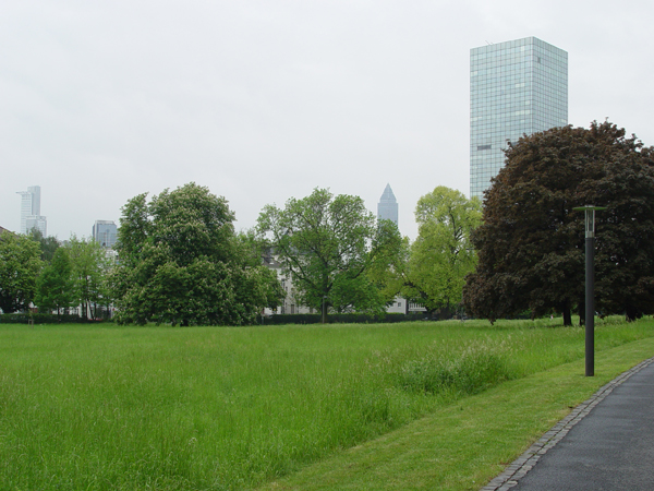 Besseres Stadtklima durch mehr lebendiges Grün 