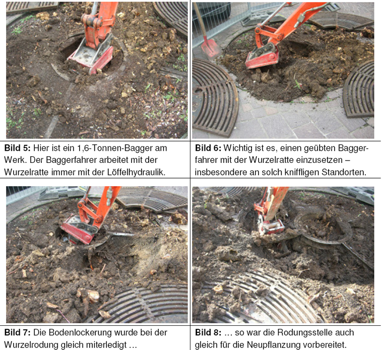 Wurotech: Einfache Rodung an schwierigen Standorten