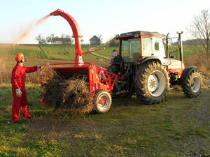 Eschlb&ouml;ck Biber von 12 bis 75 cm Holz&Oslash;