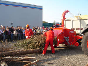 Eschlb&ouml;ck Biber von 12 bis 75 cm Holz&Oslash;