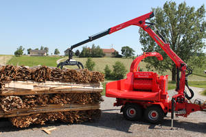 Eschlb&ouml;ck Biber von 12 bis 75 cm Holz&Oslash;