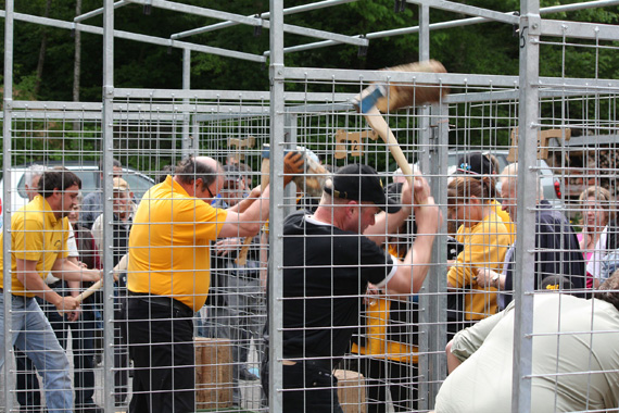 Mit der 9. Schweizermeisterschaft im Berufswettkampf Holzhauerei und dem Holzhackerwettkampf zeigt die Forstmesse zwei spektakul&auml;re Highlights.